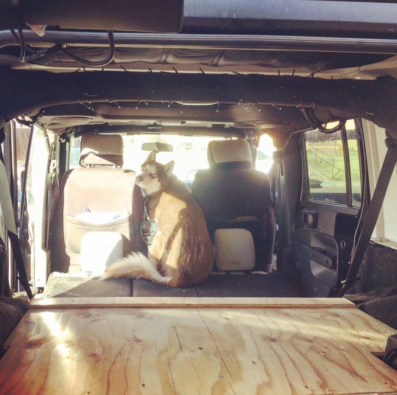 Jeep Wrangler Unlimited – DIY Platform Bed – Travels with Huskies